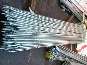 定做ф20*2.5米帶尖鍍鋅